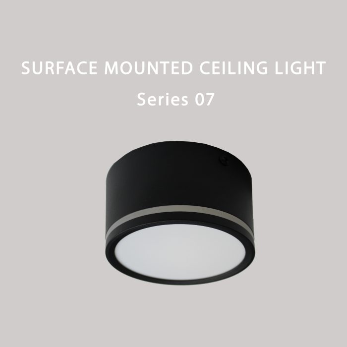 Surface Mounted Ceiling Light Series 07 - Image 1