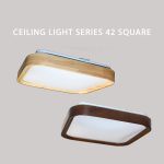 Ceiling Light Series 42 Square