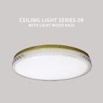 Ceiling Light Series 09 With Light Wood Base